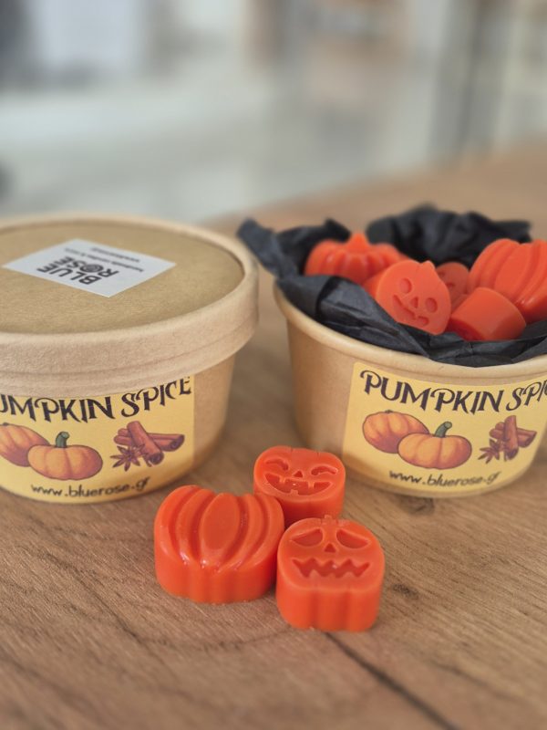 Pumpkin Spice Wax Melts Box 50g